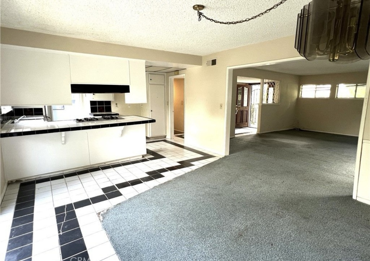 Photo May 22 2025, 11 25 47 AM