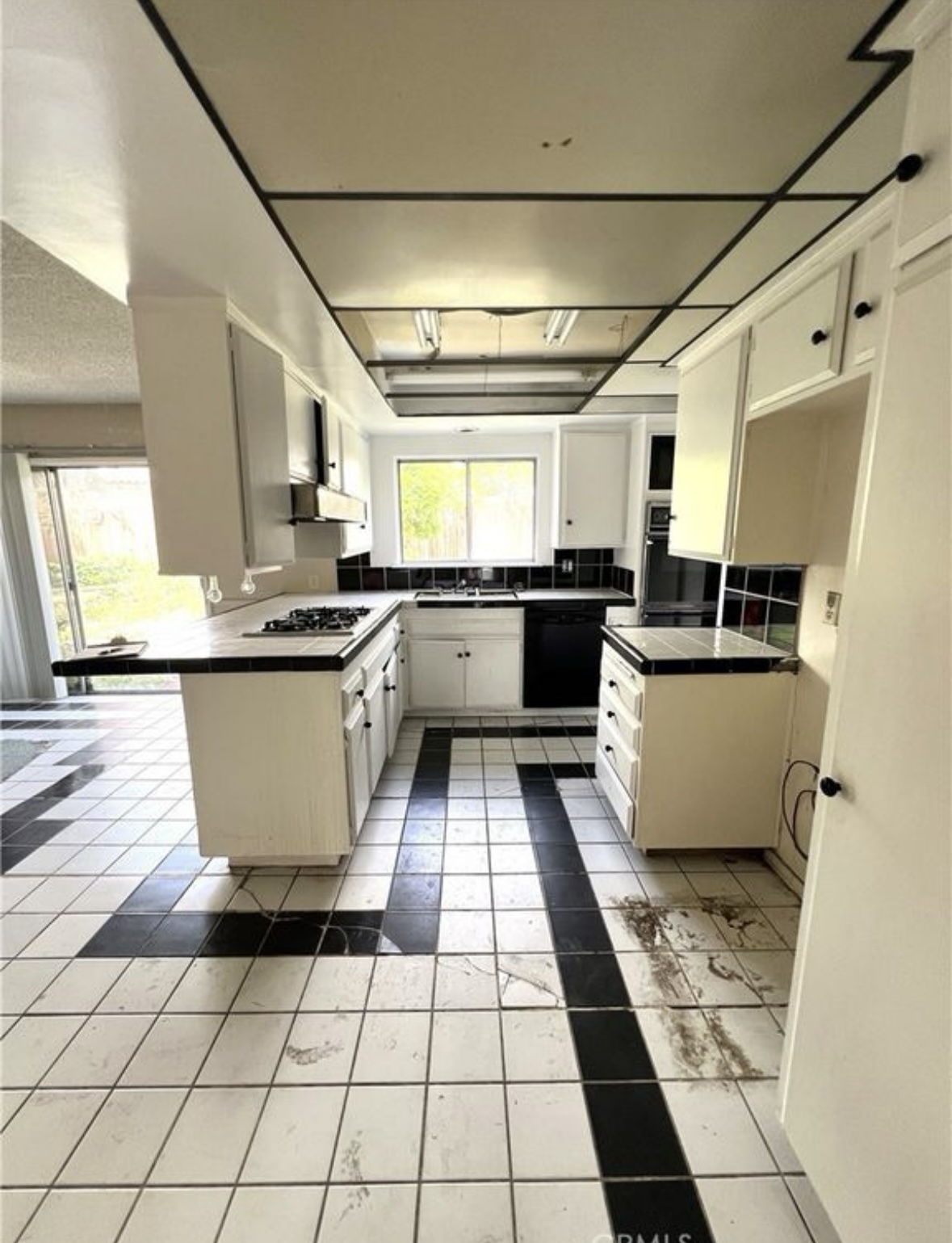 Photo May 22 2025, 11 25 40 AM