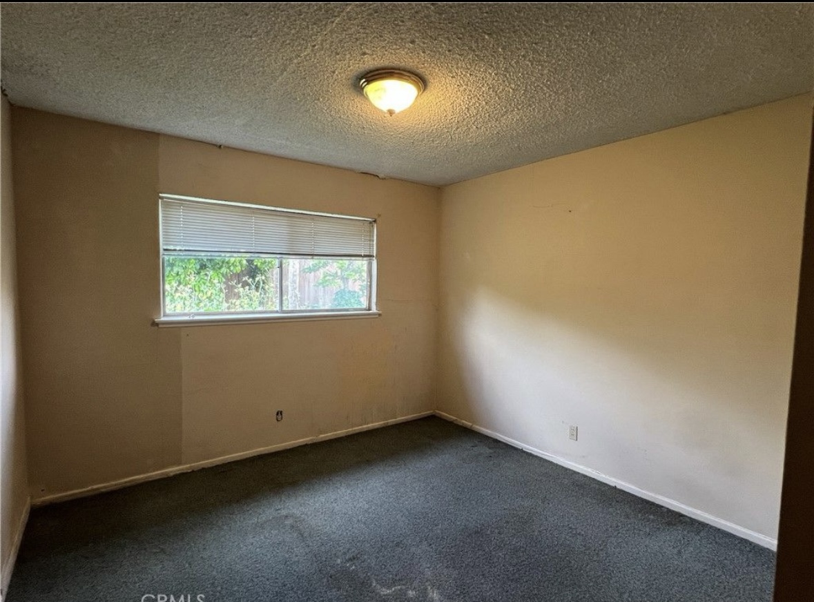 Photo May 22 2025, 11 25 33 AM