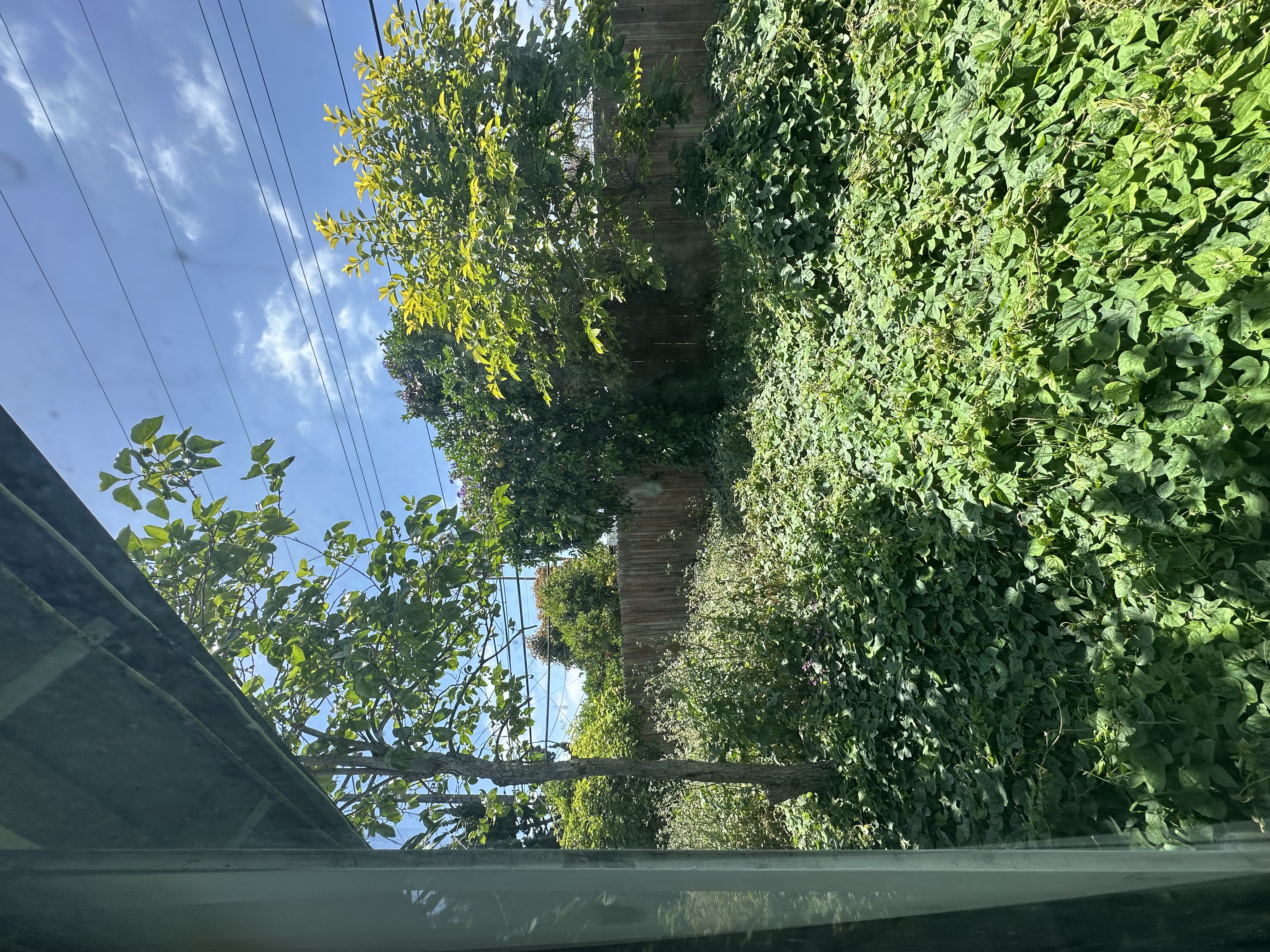 Photo May 16 2025, 1 15 40 PM