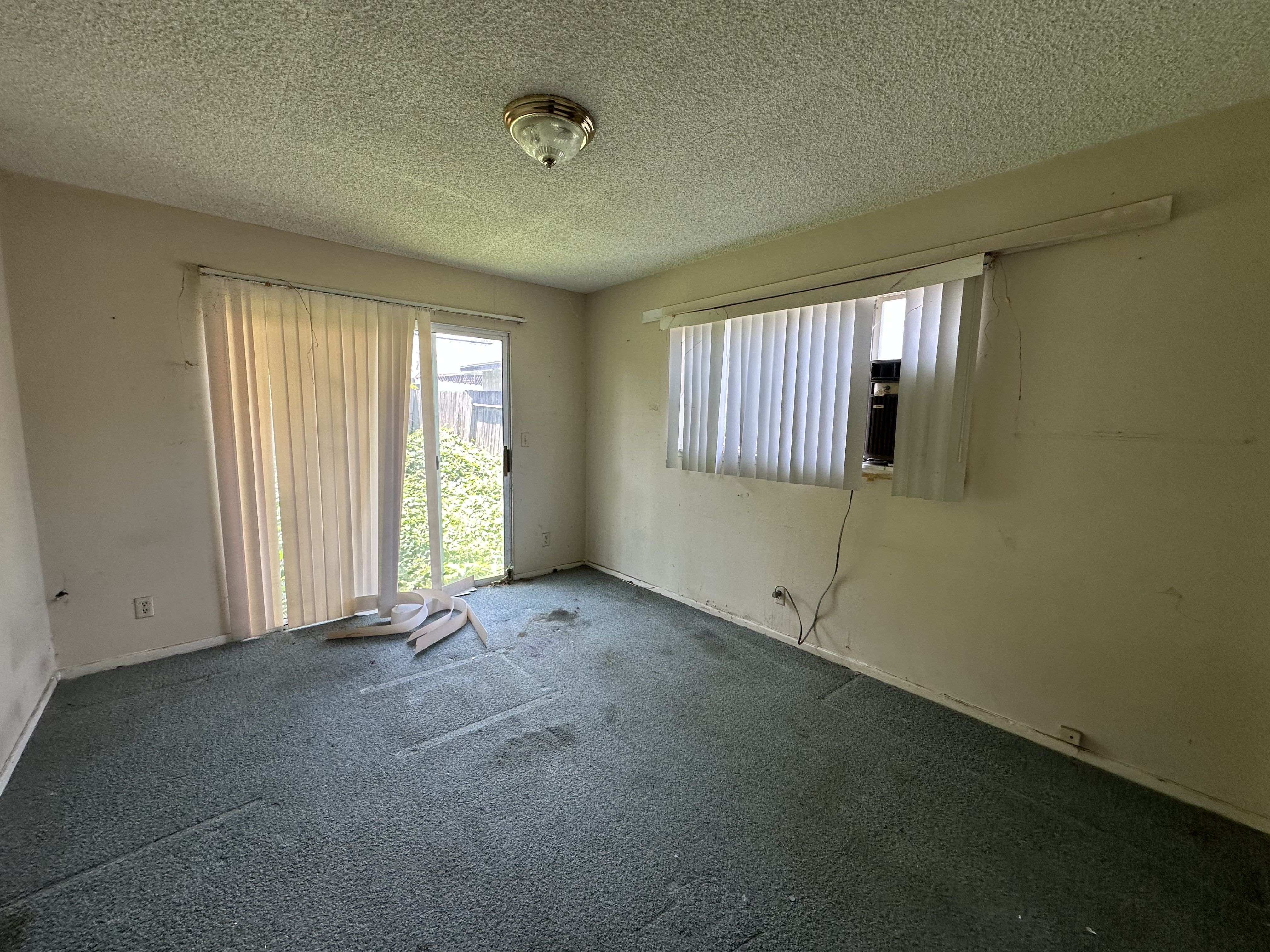 Photo May 16 2025, 1 15 32 PM