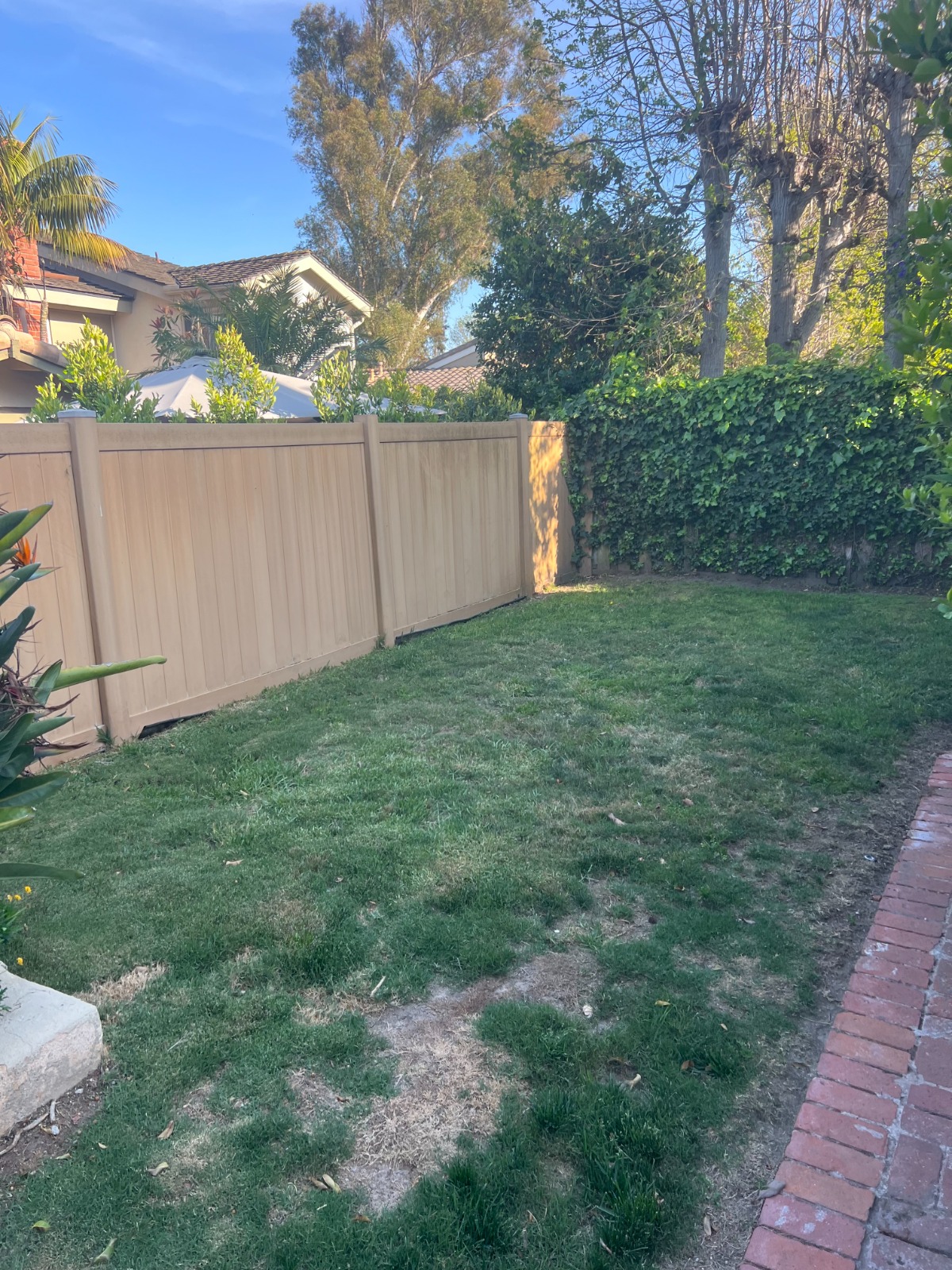 p2Ym9ZJ4kadUUpcqEhKdMsB3d2KiXN-metaaW1nXzE5MTkgY2Fzc2lhIGJhY2t5YXJkLmpwZw==-